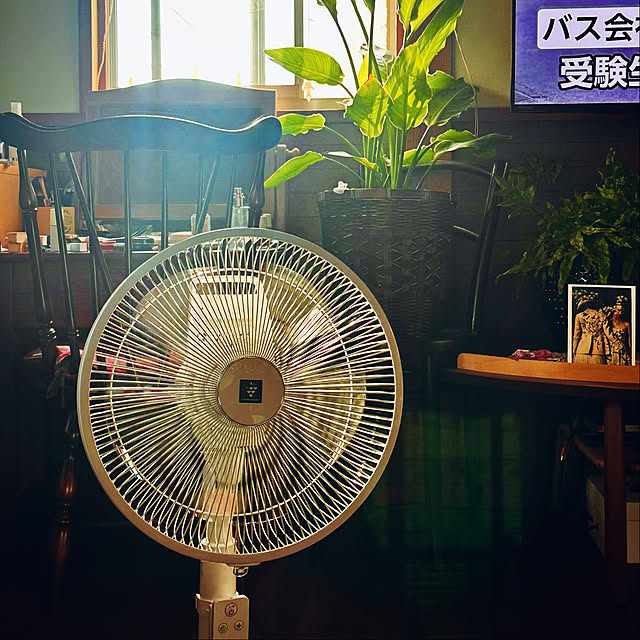 chacoさんの実例写真