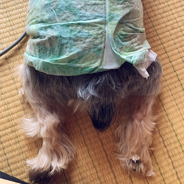 marcheさんの実例写真