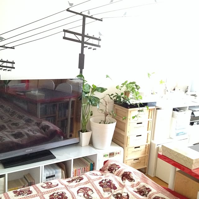 部屋全体のインテリア実例 - 2014-06-21 04:11:26