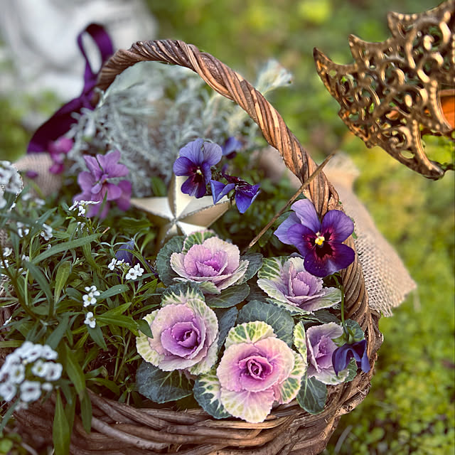寄せ植え/Mygarden/庭のある暮らし/お庭で撮影/お花いっぱい計画...などのインテリア実例 - 2021-12-25 07:54:24