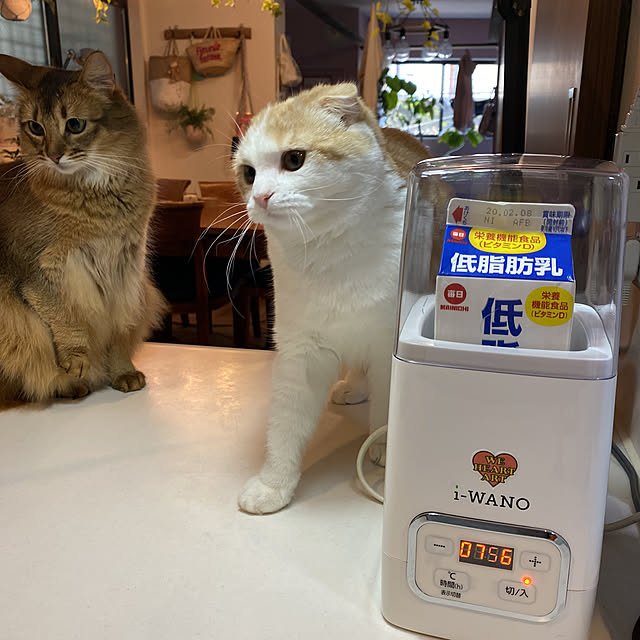 poniさんの実例写真