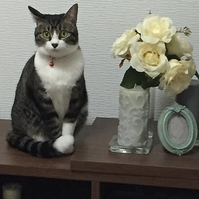 机のインテリア実例 - 2017-03-12 20:53:30