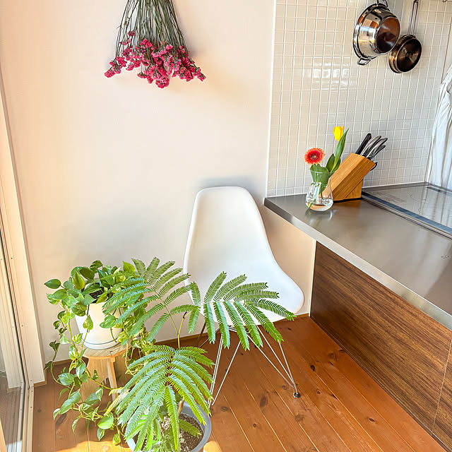 yu-yu-momさんの部屋