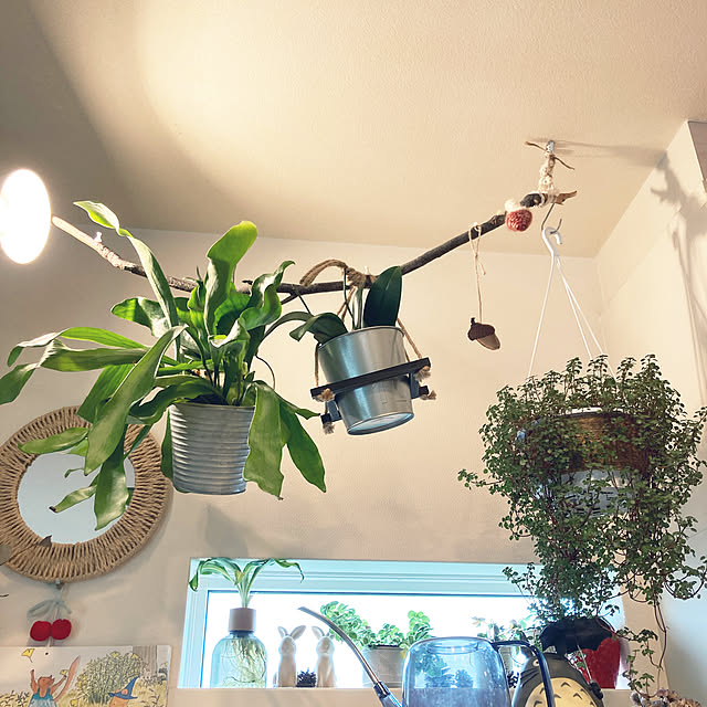 Nさんの実例写真