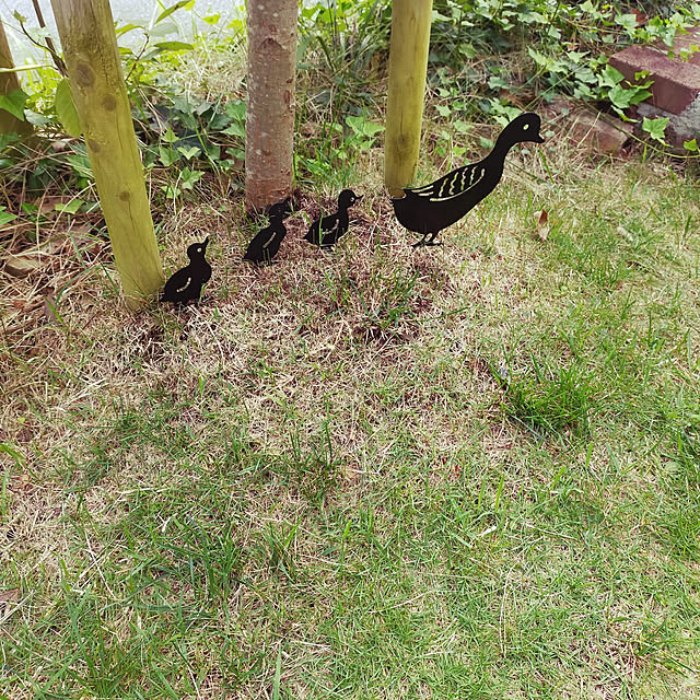 biさんの実例写真