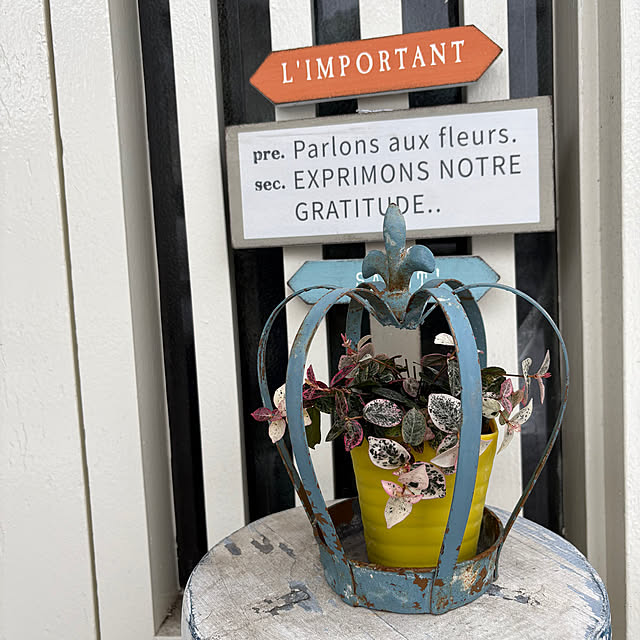 mii-tanさんの実例写真