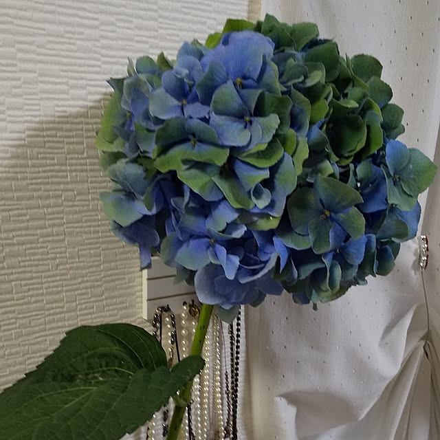 nobuさんの実例写真