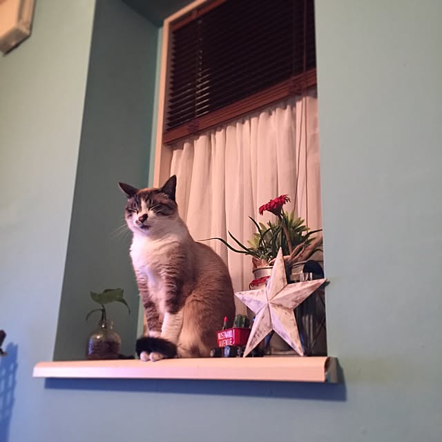 bowbowcoさんの実例写真