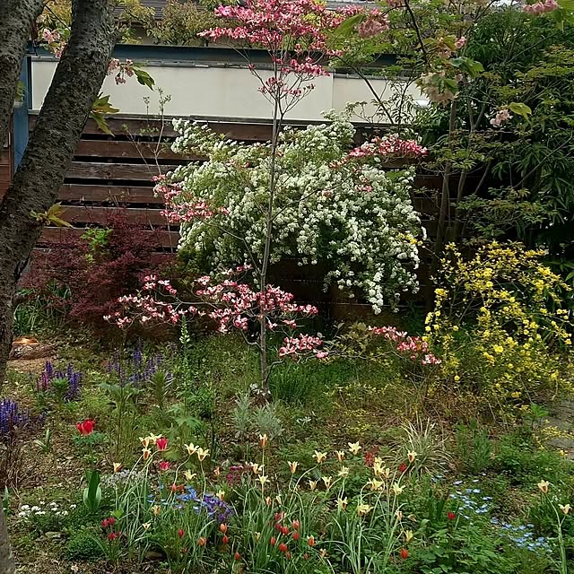 asmaさんの部屋
