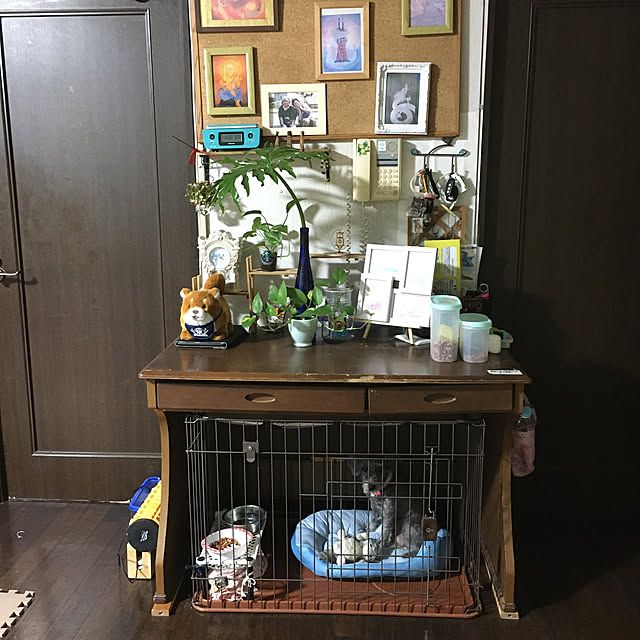 kenさんの実例写真