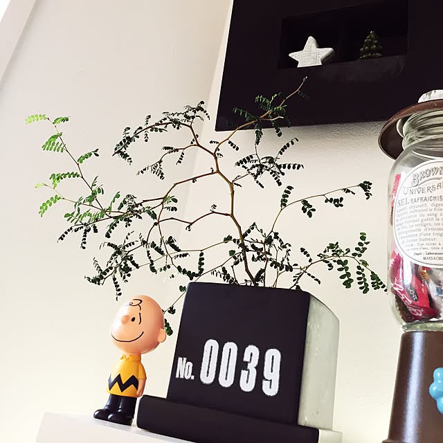 10b0039さんの実例写真