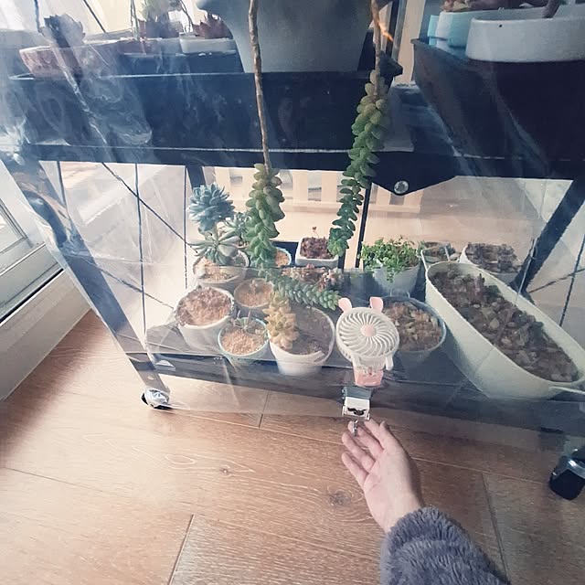 akimameさんの部屋