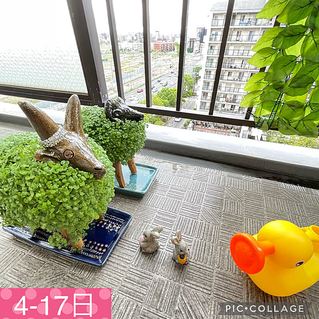 aureaさんの実例写真