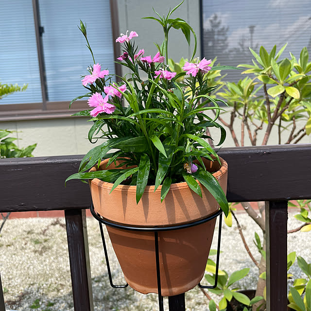 shin0719さんの実例写真