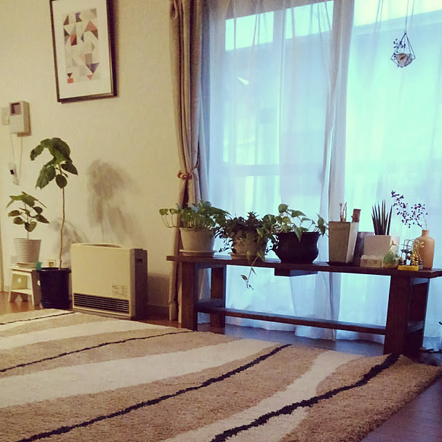 Renさんの実例写真