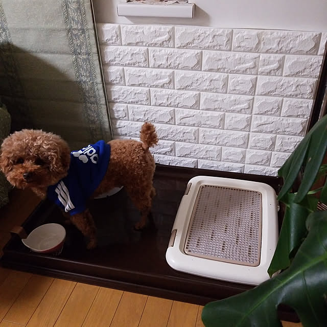 tomochiさんの実例写真