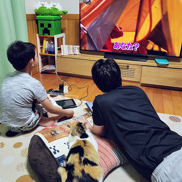 実例写真