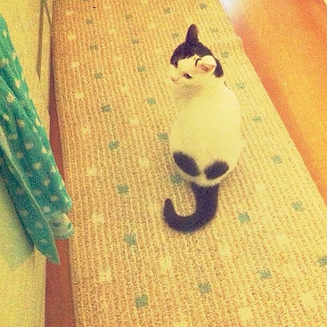 Lunaさんの実例写真