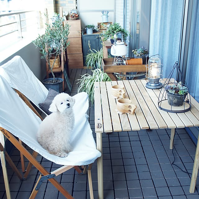 aurinkoさんの実例写真