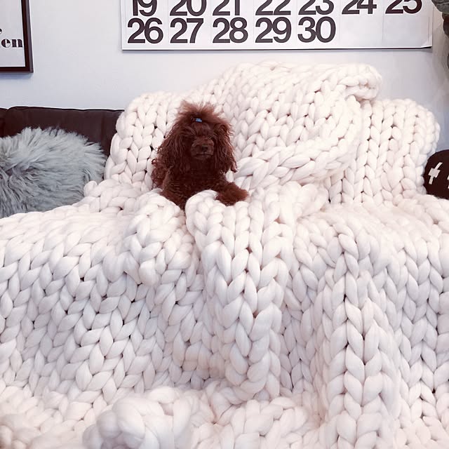 yoshiさんの実例写真