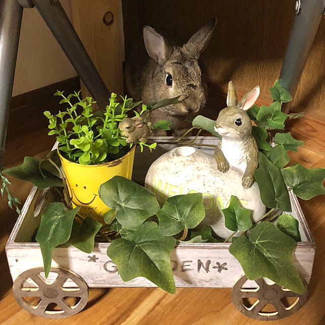 muuさんの実例写真