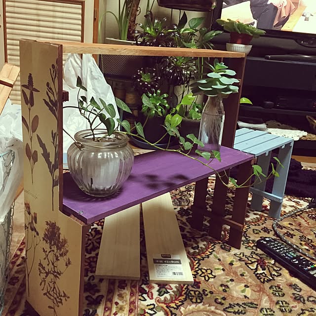 Norikoさんの実例写真