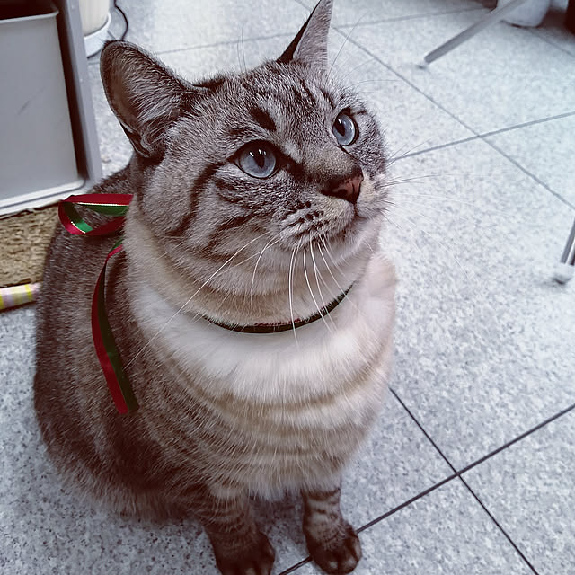 Manaさんの実例写真