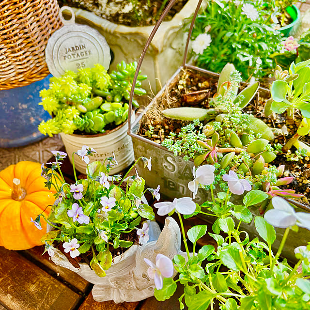 naokoさんの部屋