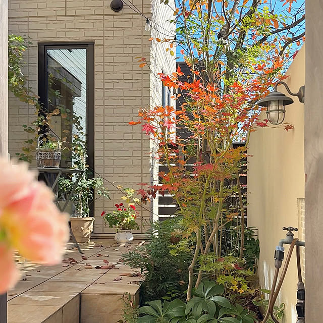 ryuryuさんの実例写真