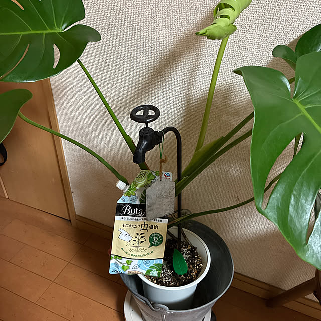cagosukiさんの実例写真