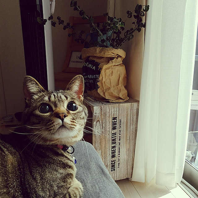 t-famさんの実例写真