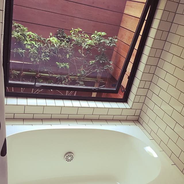 Syaminさんの実例写真