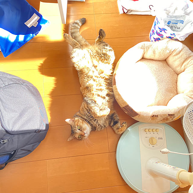 hansho.sさんの実例写真