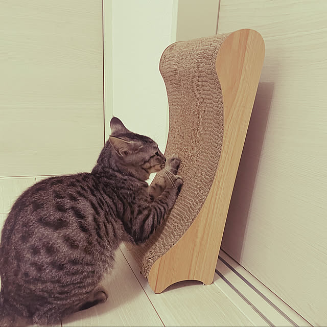 Nishitanyさんの実例写真