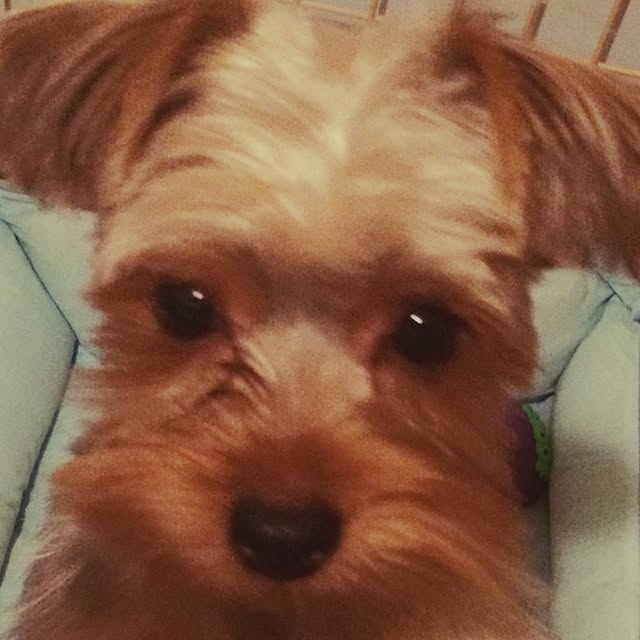 Chocoさんの実例写真