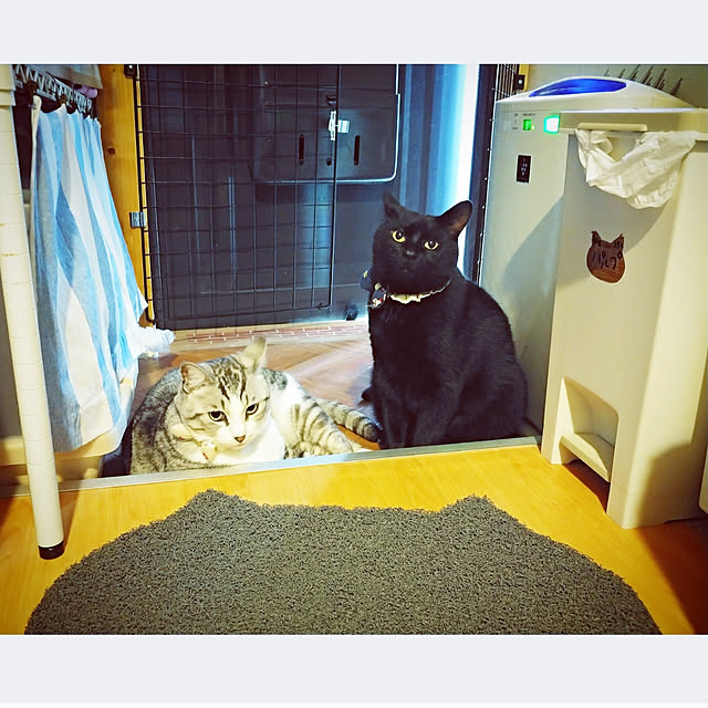 mntcさんの実例写真