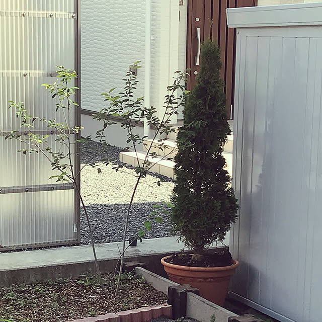 risuwaniさんの実例写真