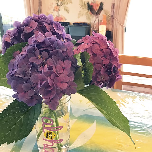 ariceさんの実例写真