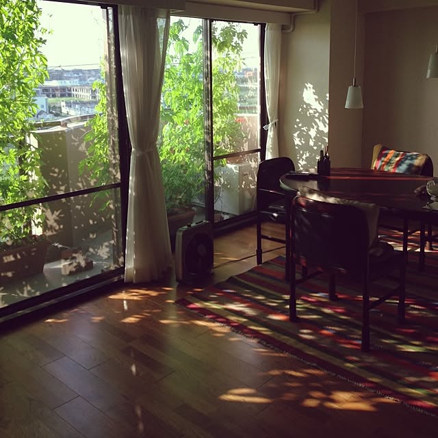 実例写真