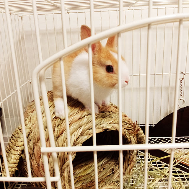 hmryさんの実例写真