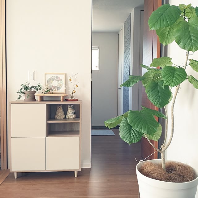 tan5さんの実例写真