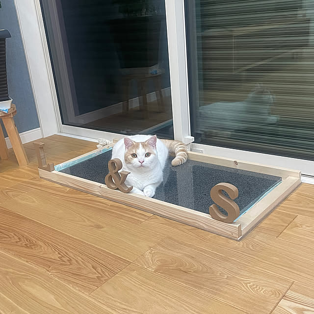 yumiさんの実例写真