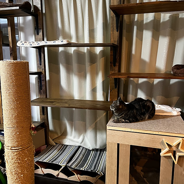 negimameさんの部屋