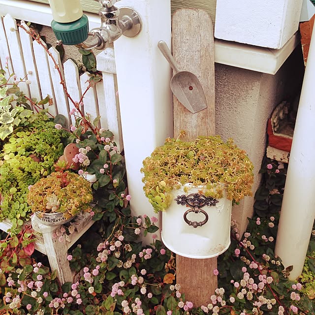 31さんの実例写真