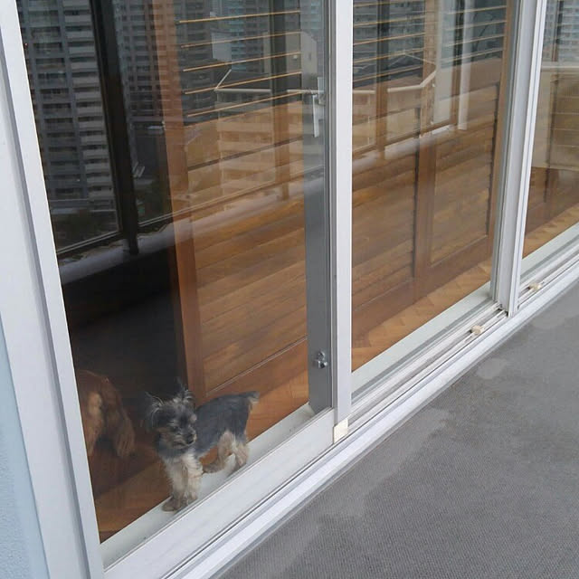 minnieさんの実例写真