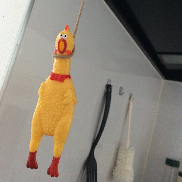 jun3さんの実例写真