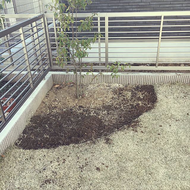 sagarayaさんの実例写真