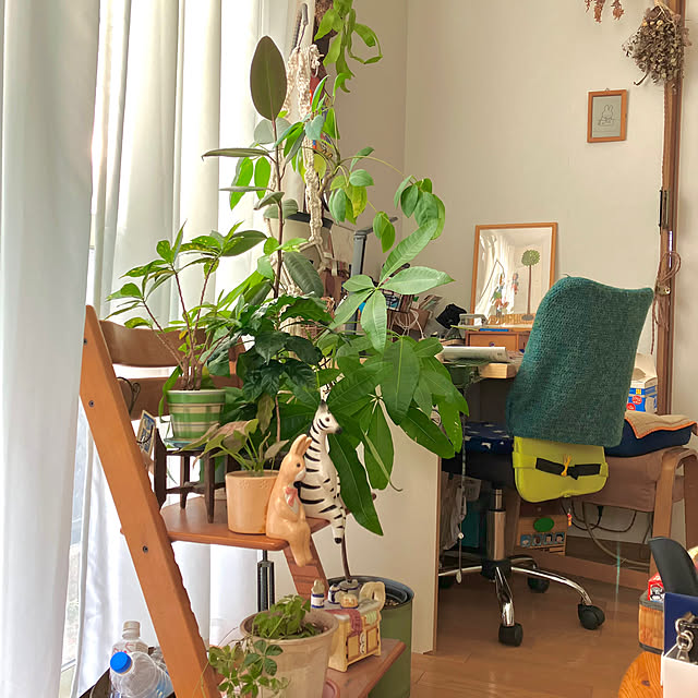 chikaさんの実例写真