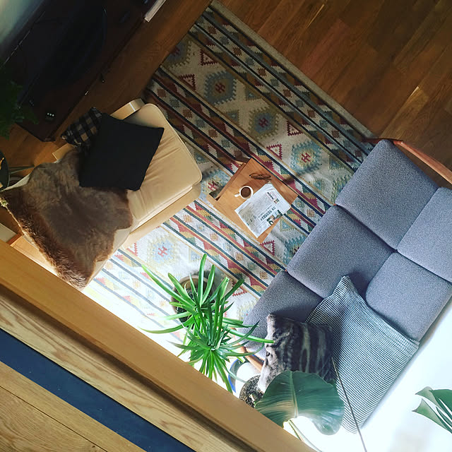 t.take28さんの実例写真