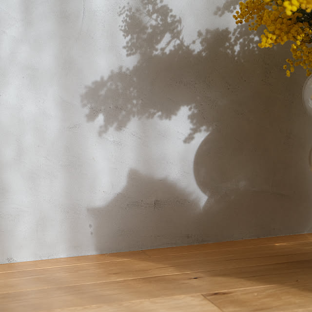 shiiiさんの部屋